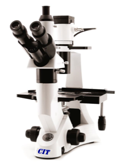 Microscope --- Inverted XDS